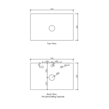 Otti Laguna Mark II Wall Hung Vanity Black Oak 740X460X550