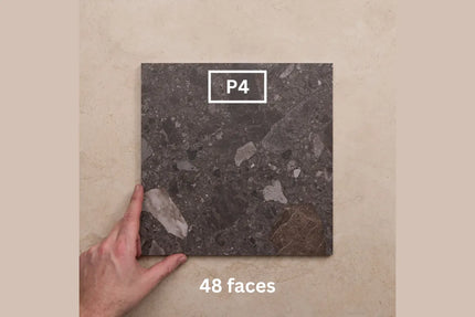 In/Out Terrazzo Look Tile Tassie Charcoal Porcelain 300X300