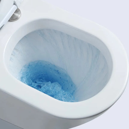 Fedora Tornado Flush Back to Wall Toilet Suite Gloss White 670X360X850