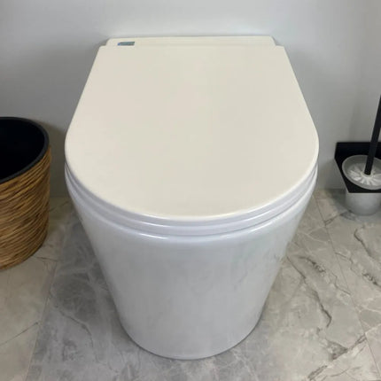 Sarah Rimless Wall Faced Floor Pan Toilet Gloss White 580X360X430