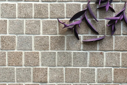 Cobblestone Mellow Granite 100X100X20/30 ∣ 200X100X20/30 mm