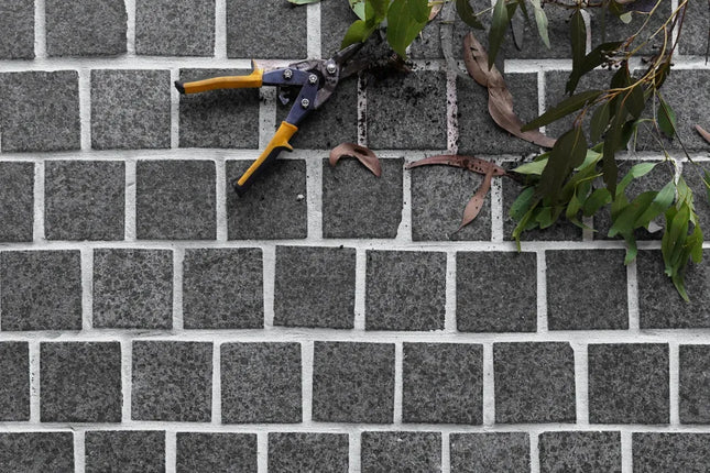 Cobblestone Night Black Granite 100X100X20/30 ∣ 200X100X20/30 mm