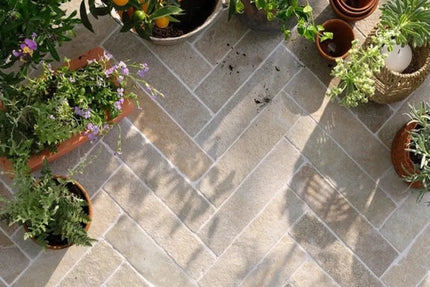 Cobblestone Sicily Beige Limestone 100X100X20 ∣ 100X100X30 mm