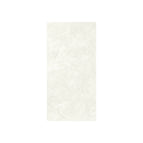 Polished 300X600