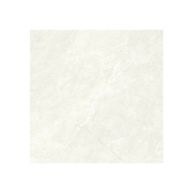 Marble Look Oregon White 600X600 Matte / Polished ,