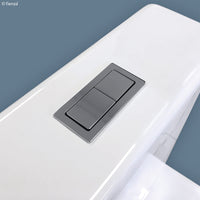 Fienza Rectangular Flush Buttons For Back To Wall Toilets, Chrome ,