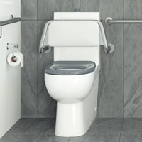 Fienza Stainless Steel Back Rest For Accessible Toilet ,