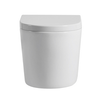 Alice Rimless Wall Hung Pan Toilet Ceramic White 520X360X325 ,