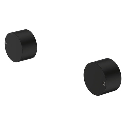 Fienza Kaya Matte Black Wall Top Assemblies ,
