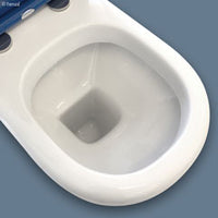 Fienza Rak Compact Back to Wall Toilet Suite, Blue Seat ,