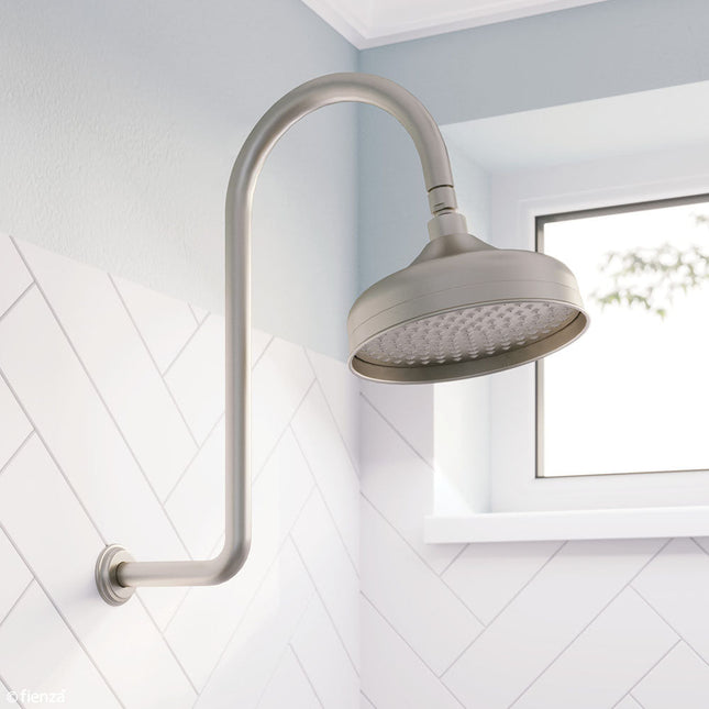 Fienza Lillian Brushed Nickel Shower Arm Set ,