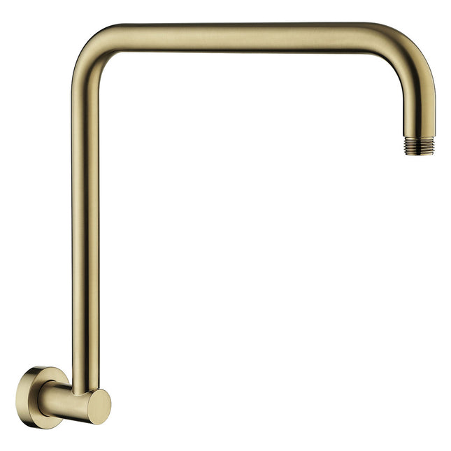 Fienza Round Fixed Gold Gooseneck Shower Arm ,