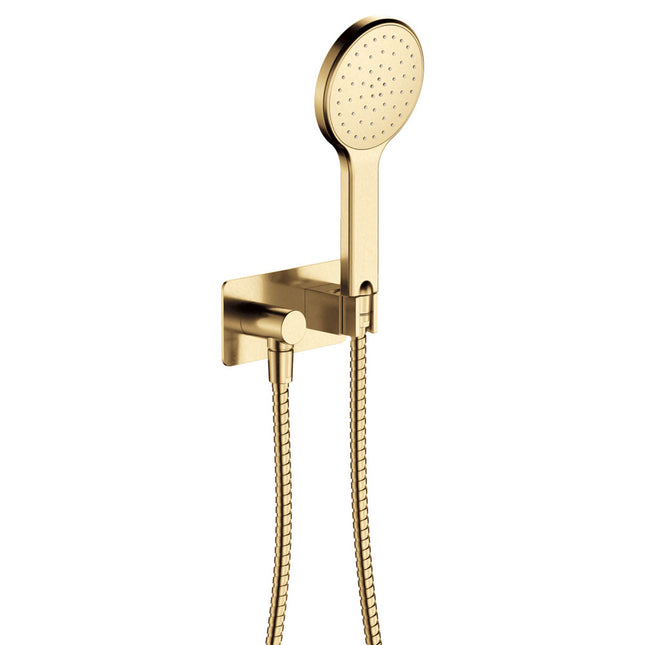 Fienza Kaya Gold Hand Shower, Soft Square Plate ,