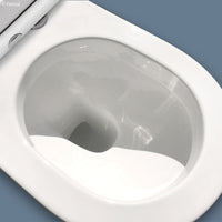 Fienza Empire Back to Wall Toilet Suite, Gloss White, Slim Seat ,