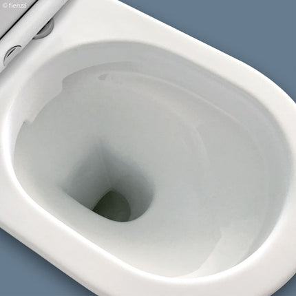 Fienza Delta Back to Wall Toilet Suite, Gloss White ,