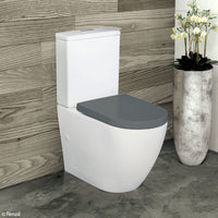 Fienza Alix Back toWall Toilet Suite, Gloss White, Grey Seat ,