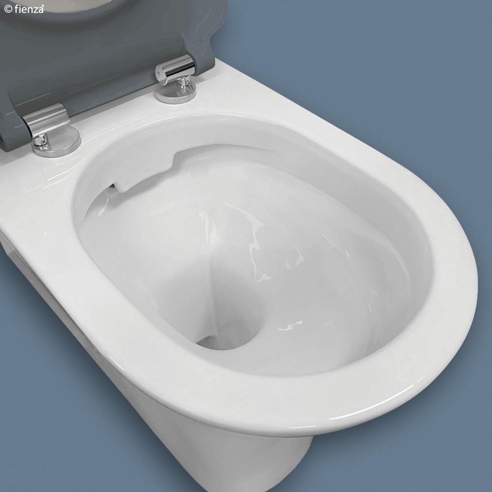 Fienza Delta Care Back to Wall Toilet Suite, Grey Seat ,