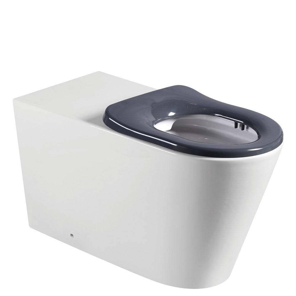 Fienza Isabella Care Back to Wall Toilet Suite, Grey Seat ,