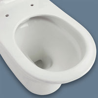 Fienza Luciana Back to Wall Toilet Suite, Gloss White ,