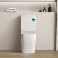 Kubic Box Rim Flush Pan Back to Wall Toilet Suite Ceramic White 665X380X840 ,