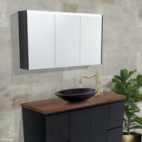 Fienza LED Mirror Cabinet, Satin Black Side Panels, 1200mm ,