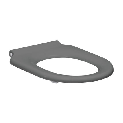 Fienza Delta Care Toilet Seat, Gloss Grey ,